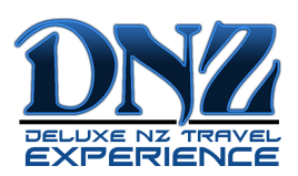 DNZ Travel